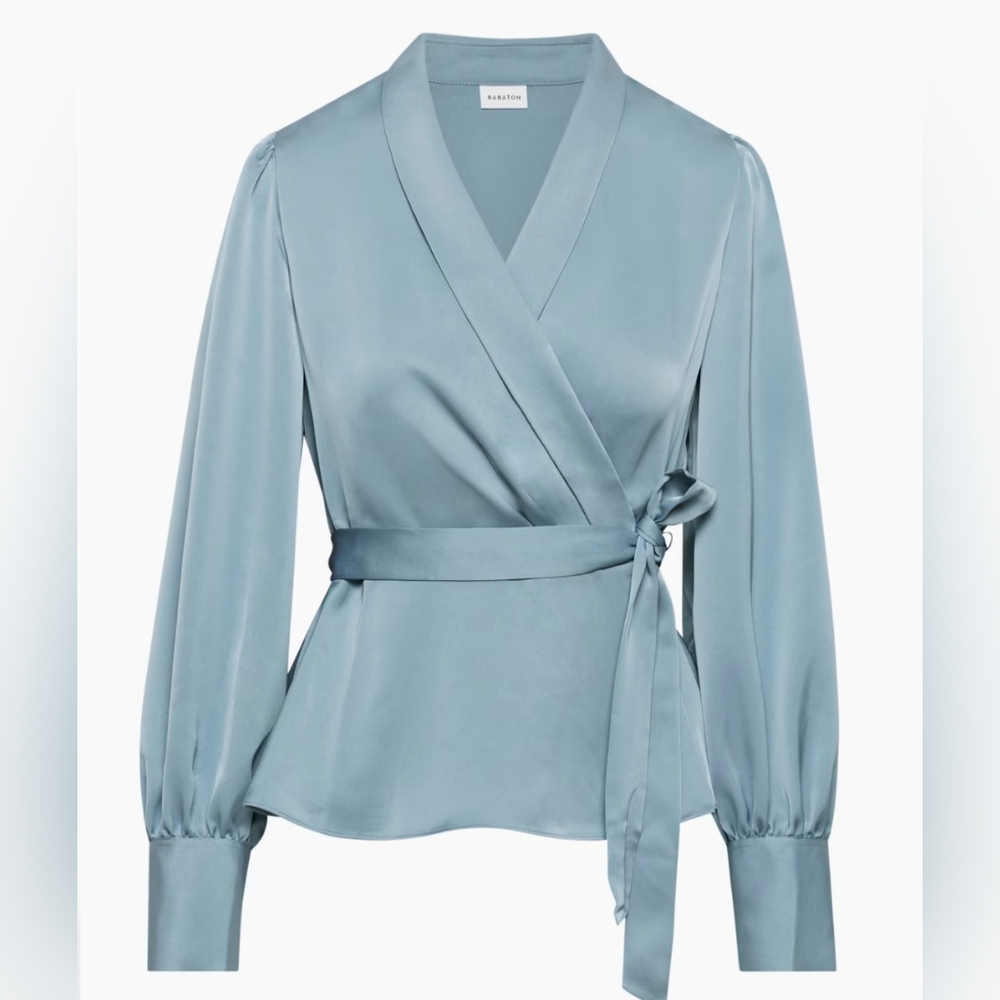 Aritzia Babaton Blouse
